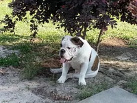20130517_175638_zpsda2fbf60.webp