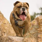 Marlow_MTLinsta5 (1 of 1).webp