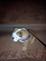 20130206_190850.webp