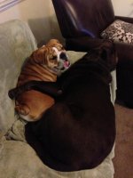 IMG_0519.jpg IMG_0519.jpg