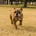 Marlow_insta-4.webp
