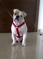 IMG-20130105-04185.webp
