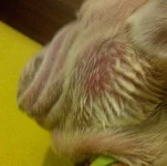 IMG-20130105-04187.webp