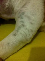 IMG-20130105-04189.webp