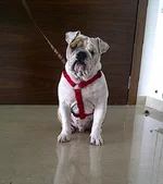 IMG-20130105-04183.webp