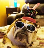 Happy B-Day.webp