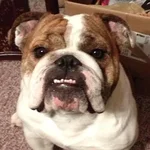 010513 Nigel.webp