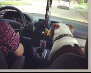 cruisin wth mom.webp