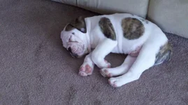 Ace9wks.webp