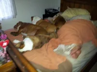 20120914_082958.webp