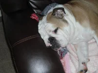 DSC00155.webp DSC00155.webp