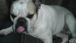 IMAG0431.webp IMAG0431.webp