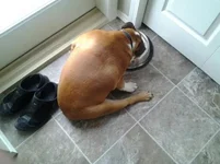 winston3.webp