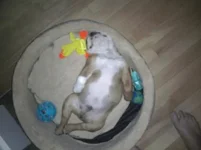 winston5.webp