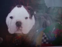 Baby Ruggles 002.webp