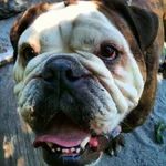 photo (4).webp