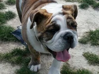 IMG_20120916_154359.webp
