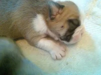 Lola's First year 333.webp