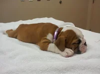 Lola's First year 560.webp