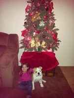 Christmas 2012 016.webp