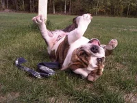 IMG00942-20120916-1538.webp