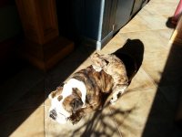 20130210_092031.jpg