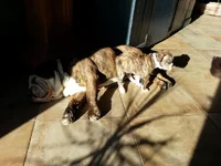 20130210_092113.webp