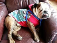 20130408_112059.webp