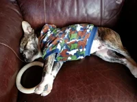 20130408_112125.webp