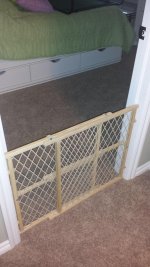 20130518_102501.jpg 20130518_102501.jpg