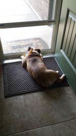 20130519_105917.jpg 20130519_105917.jpg