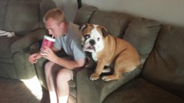 20130519_191855.jpg 20130519_191855.jpg