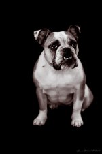 Ellie Mae 2.jpg Ellie Mae 2.jpg