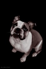Ellie Mae 3.jpg Ellie Mae 3.jpg
