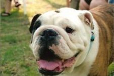 Samson at 7.jpg Samson at 7.jpg