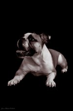 Ellie Mae 4.jpg Ellie Mae 4.jpg