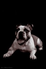 Ellie Mae 5.jpg Ellie Mae 5.jpg