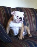 photo(4).webp