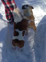 photo-98.webp photo-98.webp