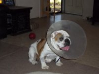 100_1109.jpg 100_1109.jpg