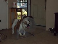 100_1110.jpg 100_1110.jpg