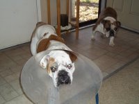 100_1111.jpg 100_1111.jpg