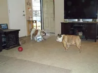 100_1112.webp