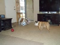 100_1112.jpg 100_1112.jpg