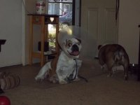 100_1113.jpg 100_1113.jpg