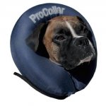 898557000075C.jpg 898557000075C.jpg