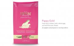 puppy-goldq.jpg puppy-goldq.jpg