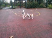 20130103_123532.jpg 20130103_123532.jpg