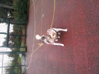 20130103_123513.jpg 20130103_123513.jpg