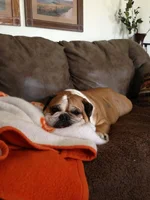Tired Diva April 2013.webp